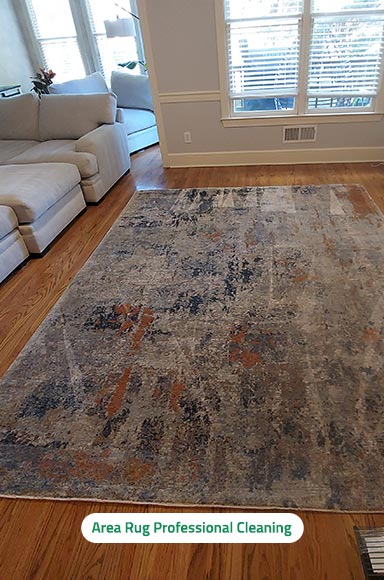 College Park Rug Cleaning