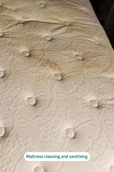 Mattress Cleaning in College Park, MD