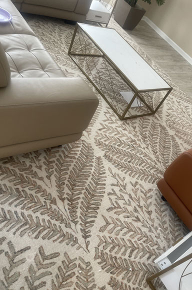 Area Rug Cleaning